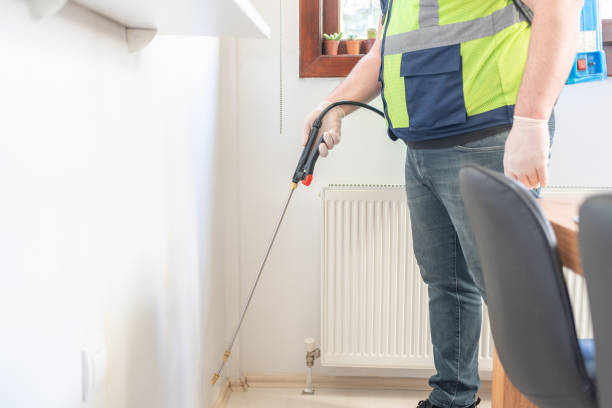 Best Wasp Removal Services  in Lake Ripley, WI