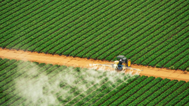 Best Pest Removal Services  in Lake Ripley, WI