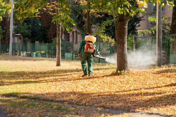 Best Mosquito Control Services  in Lake Ripley, WI