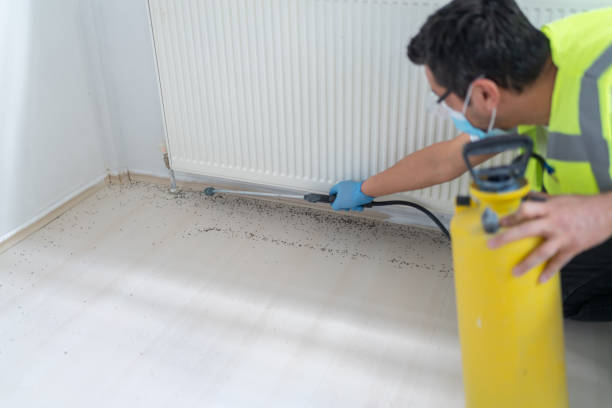 Pest Prevention Services in Lake Ripley, WI
