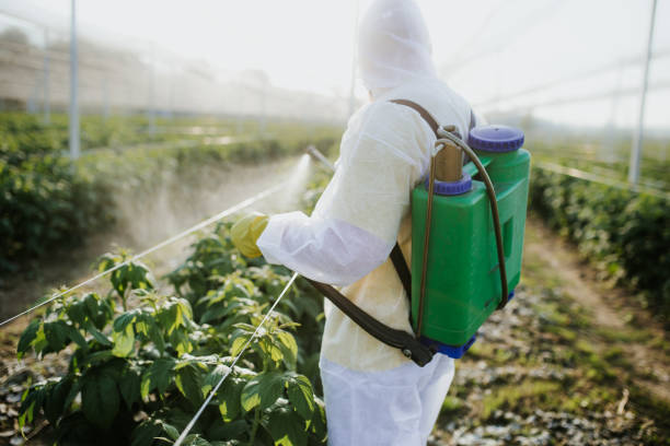 Best Affordable Pest Control Services  in Lake Ripley, WI